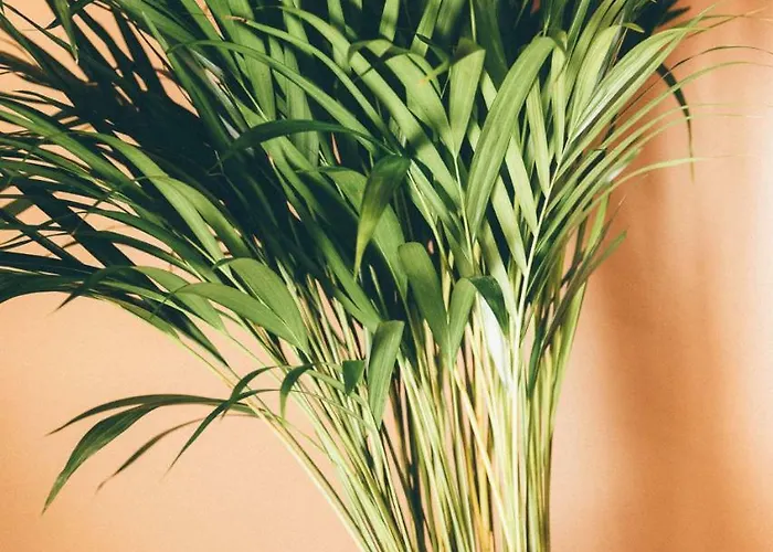 Altabella Rooftop * بولونيا