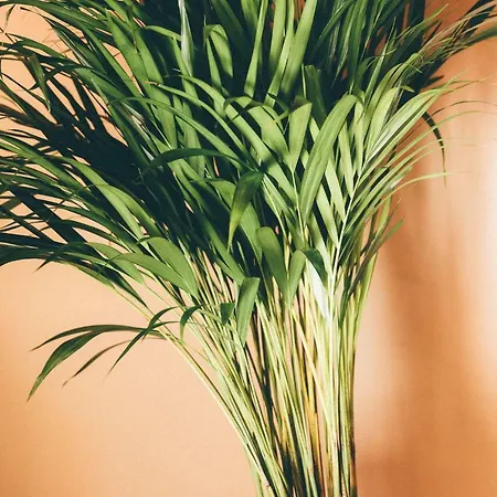 Altabella Rooftop * ボローニャ